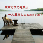 東京ガスの電気は一人暮らしにぴったり！平均使用量で検証して料金・サービス徹底解説