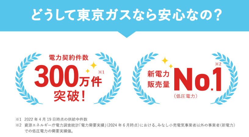 東京ガスの実績