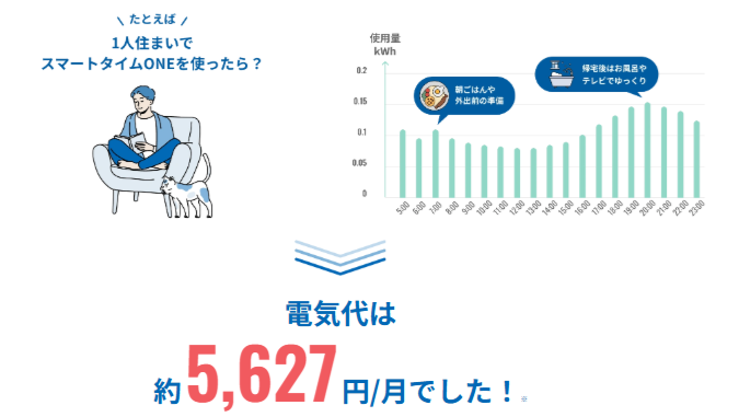 Looopでんき　一人暮らし