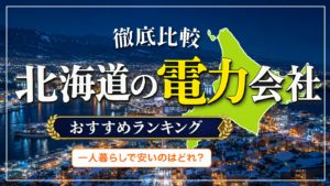 北海道電力会社　一人暮らし